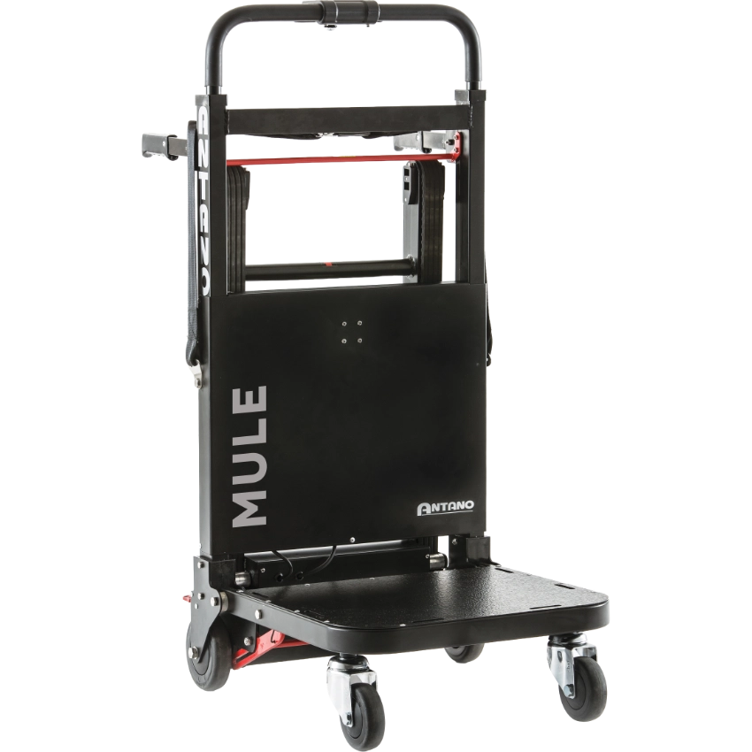 Mule